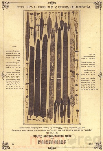 Fototafel von Schwabs Antiquarium für die Weltausstellung in Paris 1876
