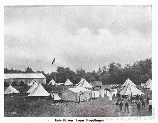 Camp des Faucons Rouges à Macolin