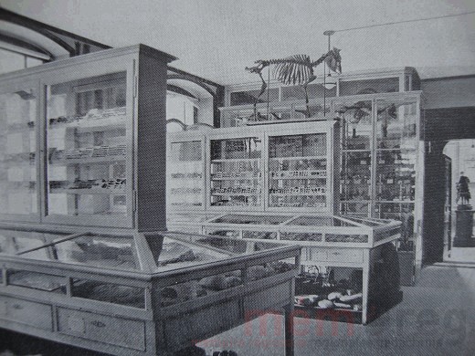 Des vitrines d'exposition du musée Schwab à Bienne