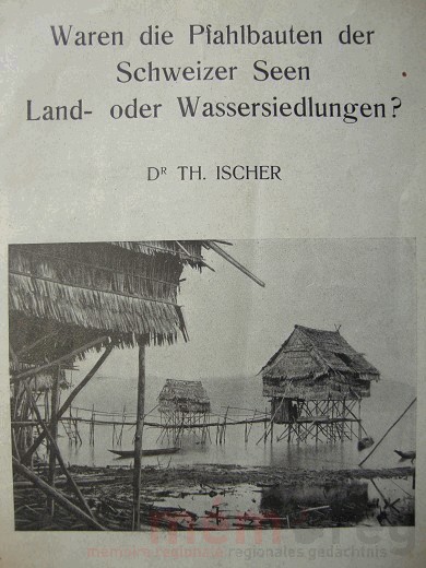 Waren die Pfahlbauten der Schweizer Seen Land- oder Wassersiedlungen?