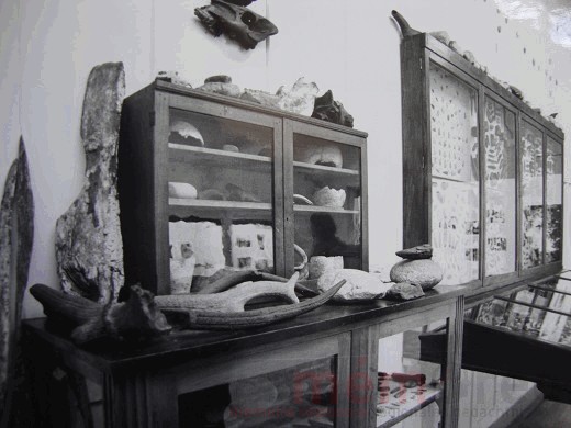 Eine Vitrine im Museum Schwab in Biel