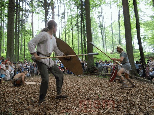 Des impressions de la fête Petinesca