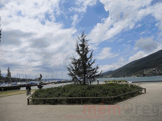 Denkmal und Zeder für Nicolas Hayek am Strandboden in Biel