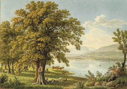 Ausblick gegen Sankt Johannsen und Le Landeron, 1829