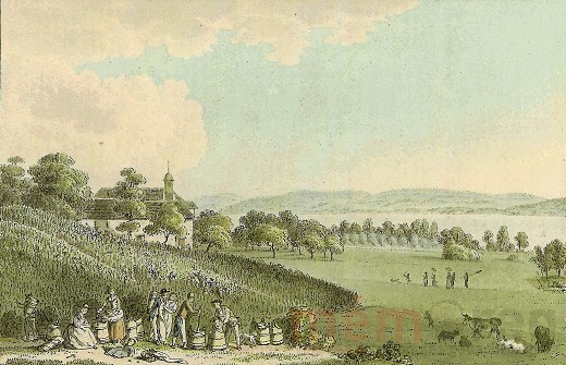 La vendange
