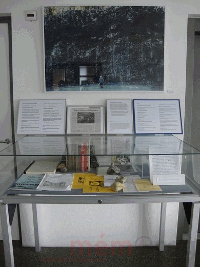 Vitrine der Ausstellung zum Werk des Geologen Max Antenen, Stadtbibliothek Biel