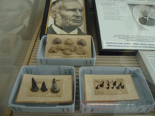 Eine Vitrine zu Gottfried Ischer aus Mett