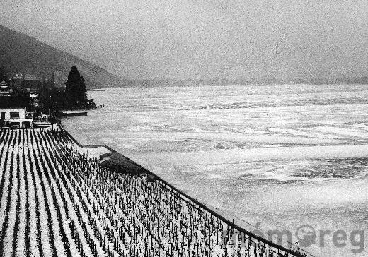 «Seegfrörni» près de Tüscherz-Alfermée, en 1963