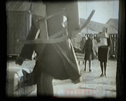 Transport de dons humanitaires pour Floridsdorf, en 1947