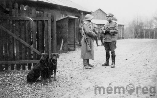 Schildwache mit Polizeihunden im Interniertenlager Büren, um 1940