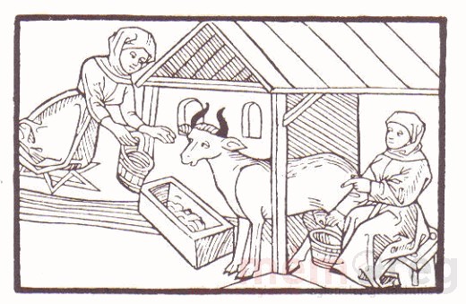Angeblicher Milchzauber